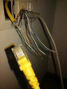 电脑网线直连 无需插座，巧手修复上网难题