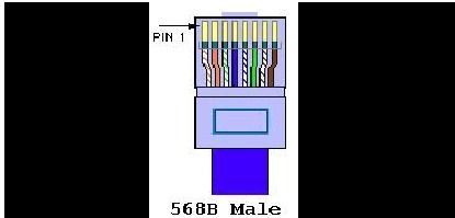 差电脑的网线 从选购到故障排除的全面指南